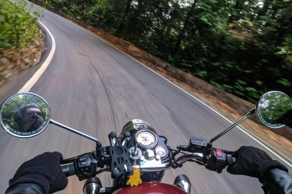 Experience the thrill of motorcycle driving on a winding forest road with speed and adventure.